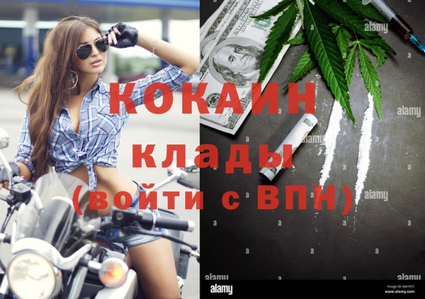 PSILOCYBIN Аркадак