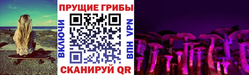 МЕГА сайт  где можно купить наркотик  Щёлкино  Псилоцибиновые грибы мухоморы 